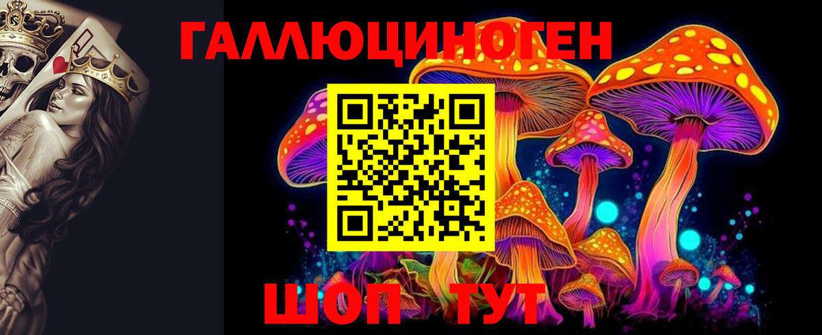 Пушкино  Псилоцибиновые грибы мухоморы  Вход с VPN 